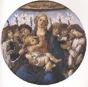 Madonna and child with eight Angels or Raczinskj Tondo Sandro Botticelli